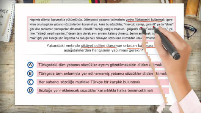 metni sorularla anlama 7 sinif turkce morpa kampus